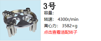 轉子三.jpg